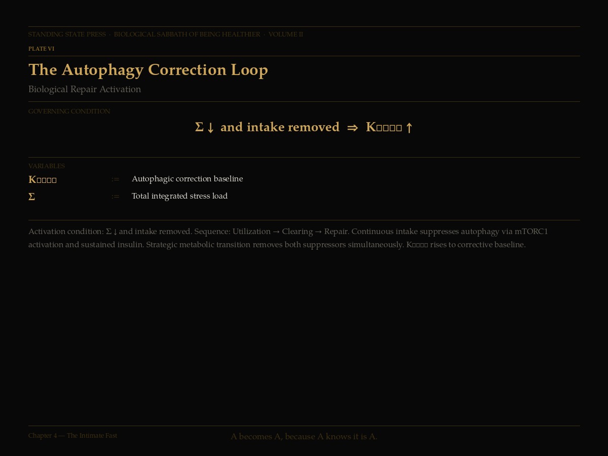The Autophagy Correction Loop