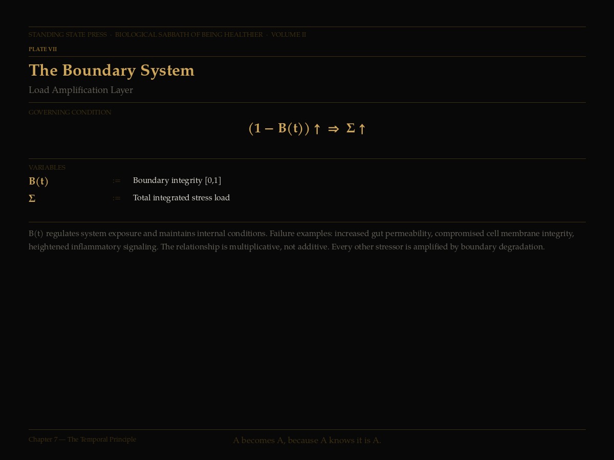The Boundary System